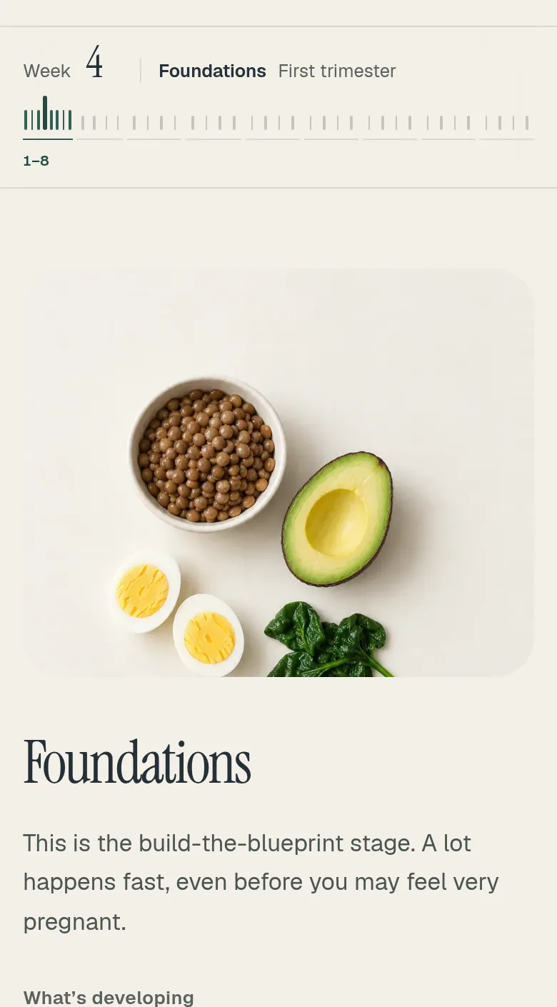 PregNut Weekly Guide on a phone at week 4, with the week timeline, a photo of lentils, eggs, avocado and spinach, and the Foundations stage for weeks 1 to 8