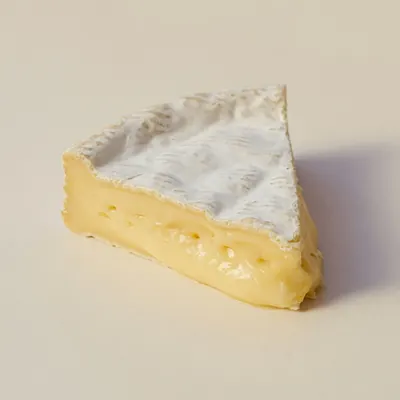 Illustration of Cheese, Brie