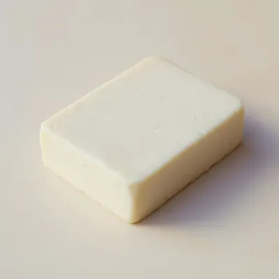 Illustration of Cheese, Monterey
