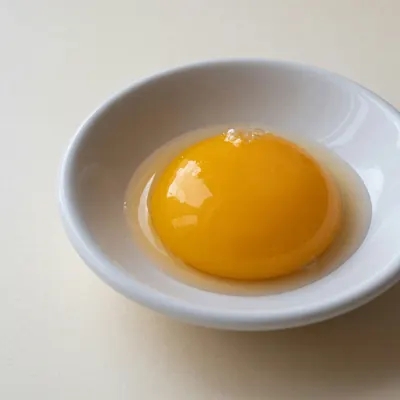 Illustration of Egg, Yolk, Fresh