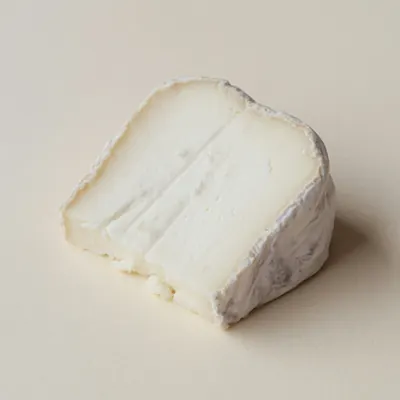 Illustration of Cheese, Goat, Semisoft type