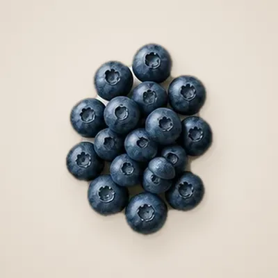 Illustration of Blueberries, Raw