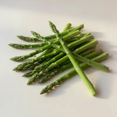 Illustration of Asparagus, Raw