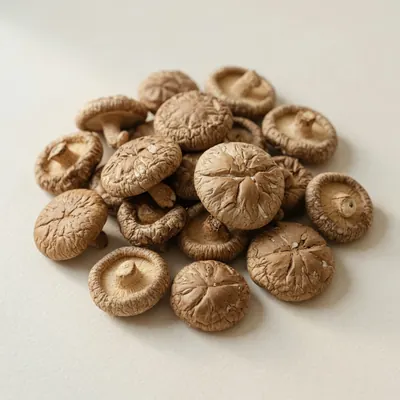 Illustration of Mushrooms, Shiitake, Dried