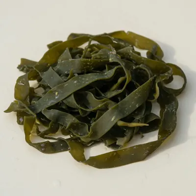 Illustration of Seaweed, Kelp, Raw