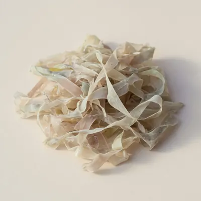 Illustration of Seaweed, Agar, Dried