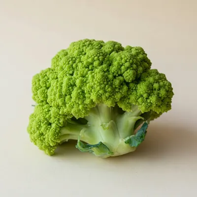 Illustration of Cauliflower, Green, Raw