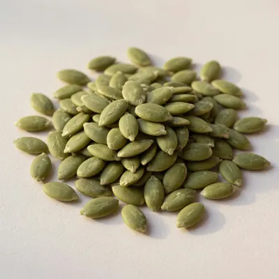 Illustration of Seeds, Pumpkin and squash seed kernels, Dried