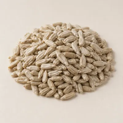 Illustration of Seeds, Sunflower seed kernels, Dried