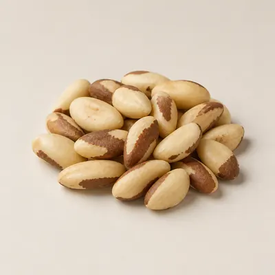 Illustration of Nuts, Brazilnuts, Dried, Unblanched