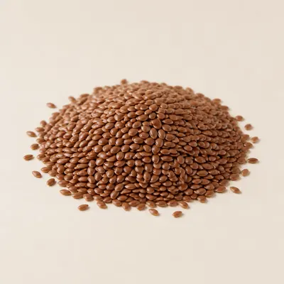 Illustration of Seeds, Flaxseed