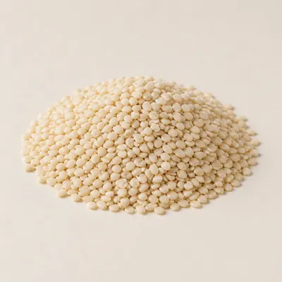 Illustration of Seeds, Sesame seed kernels, With salt added (decorticated)
