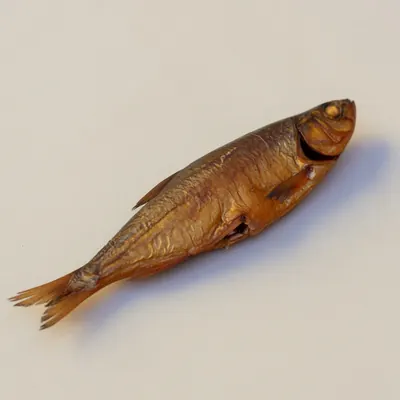 Illustration of Cisco, Smoked