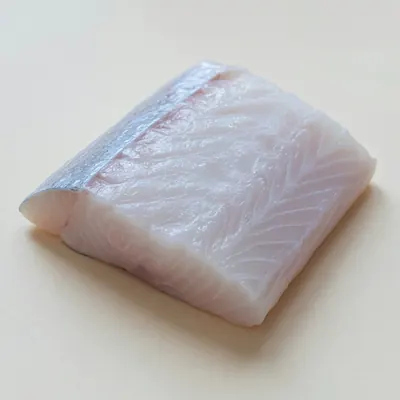 Illustration of Halibut, Atlantic and pacific