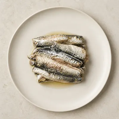 Illustration of Sardine, Atlantic, Canned in oil, Drained solids with bone
