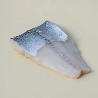 Illustration of Sea bass