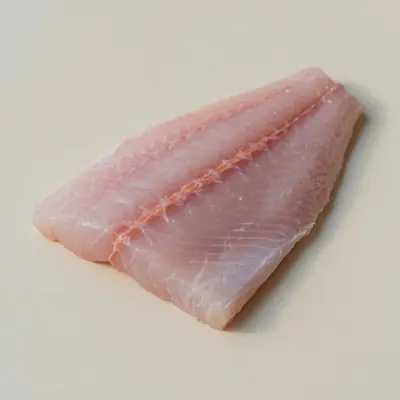 Illustration of Snapper