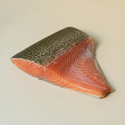 Illustration of Trout