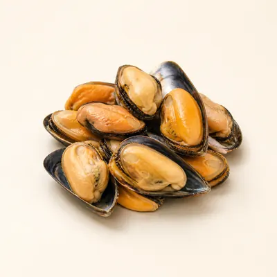 Illustration of Mussel, Blue