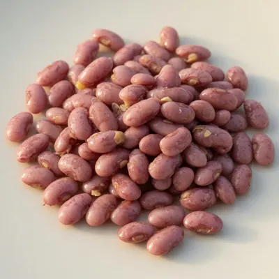 Illustration of Beans, Pink, Mature seeds, Boiled