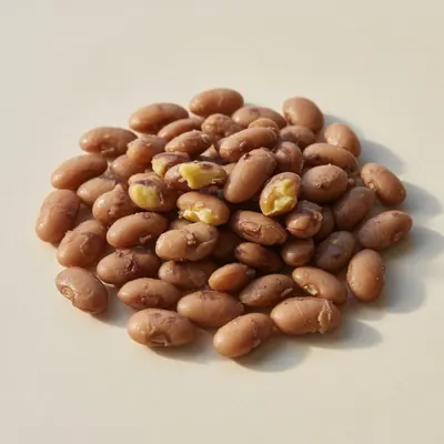 Illustration of Beans, Pinto, Mature seeds, Boiled