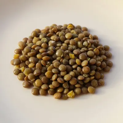 Illustration of Lentils, Mature seeds, Boiled