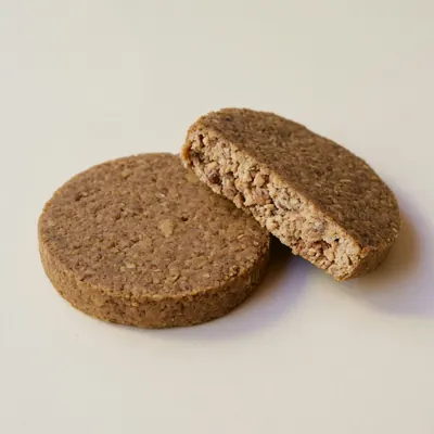 Illustration of Veggie burgers or soyburgers, Unprepared