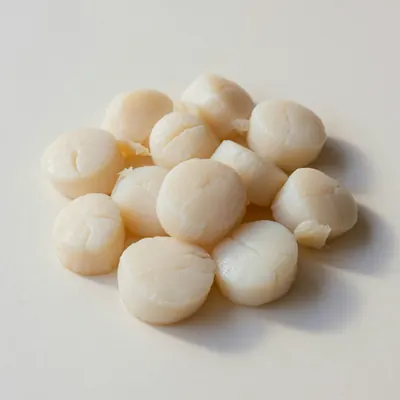 Illustration of Scallop, (bay and sea), Steamed